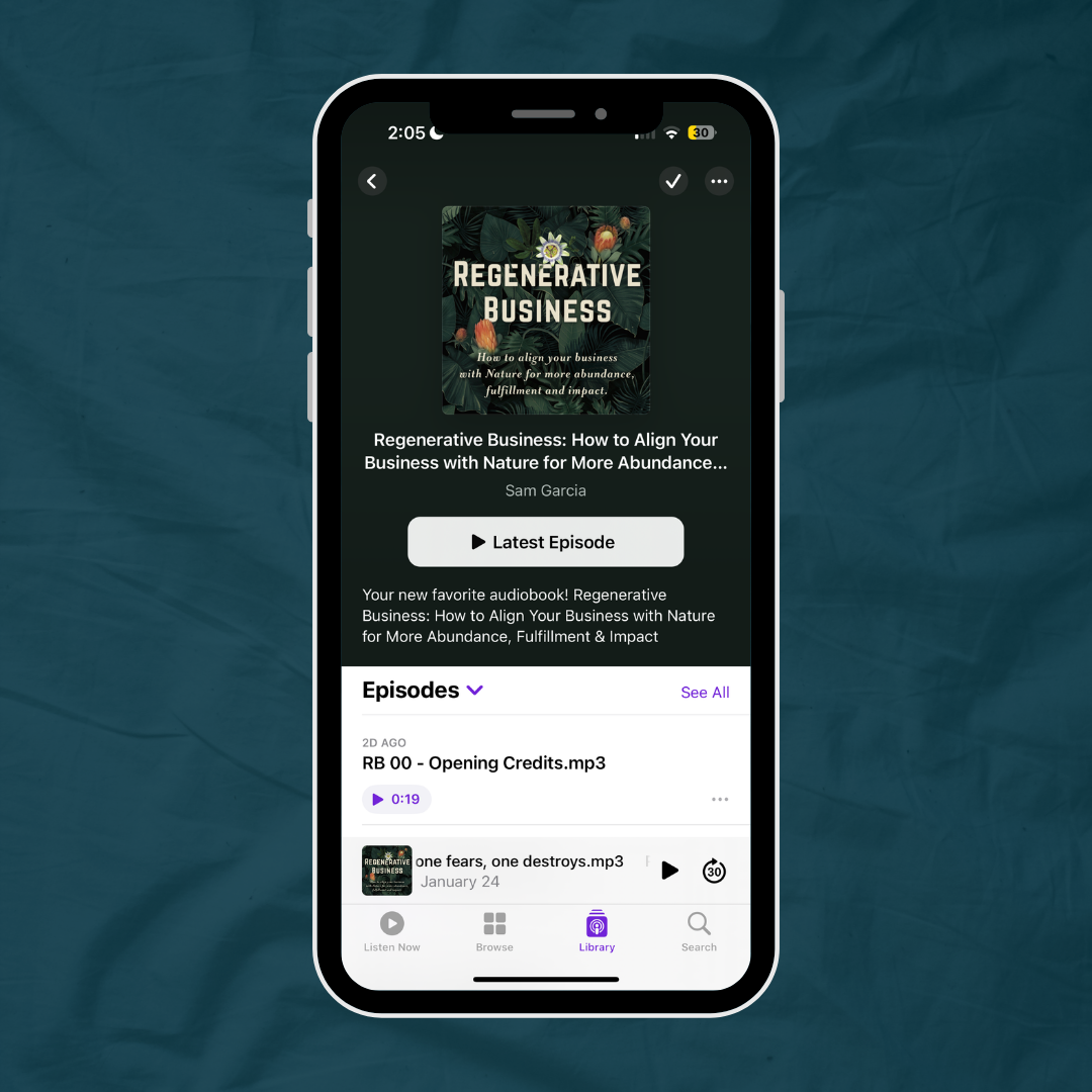 Regenerative Business (audiobook)