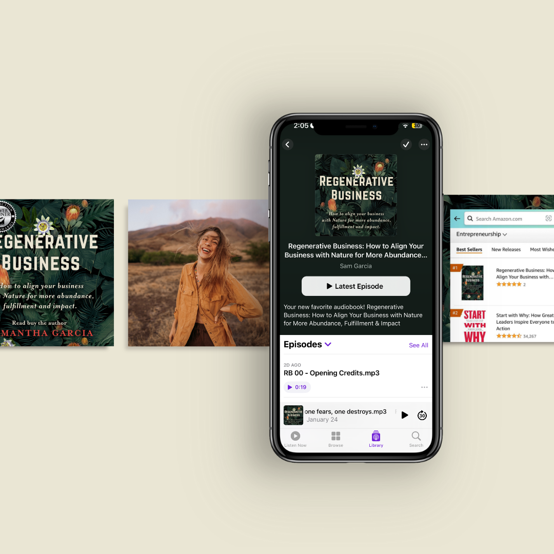 Regenerative Business (audiobook)